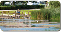 Marton Mere Holiday Park